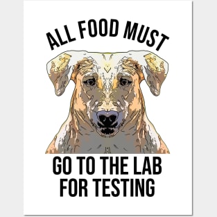 Funny Labrador The Food Tester Posters and Art